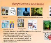 Презентация на тему 